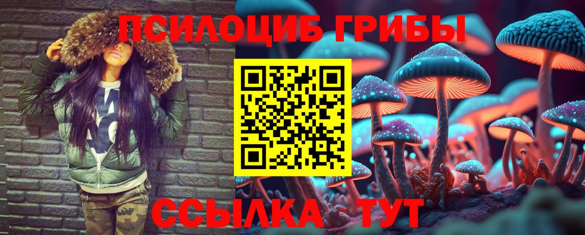 купить наркотики цена  Вход с VPN  Новозыбков  Галлюциногенные грибы Cubensis 